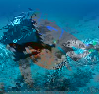 Second Reef Dive Site - Melbourne Tourism