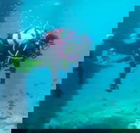 Shellharbour Scuba  and Photography Centre - Melbourne Tourism