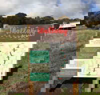 The Wallaby Track - Melbourne Tourism