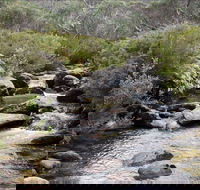 Thredbo River Track - Melbourne Tourism