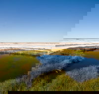 Wabma Kadarbu Mound Springs Conservation Park - Melbourne Tourism