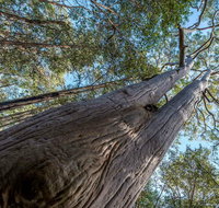 Wallumatta Nature Reserve - Melbourne Tourism