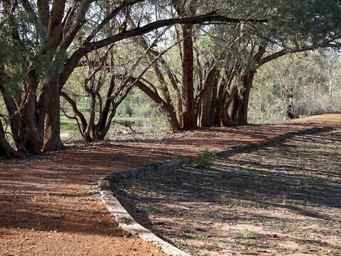 Warrego Floodplain Walking Track - Melbourne Tourism 0
