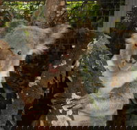 Birdland Animal Park - Melbourne Tourism