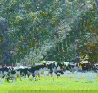 Boyanup - Melbourne Tourism