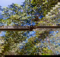 Bribie Island Bicentennial Trails - Melbourne Tourism