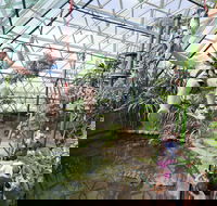Cairns ZOOM and Wildlife Dome - Melbourne Tourism