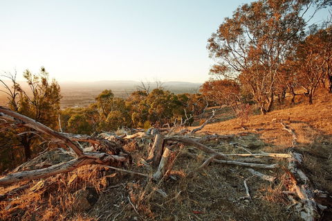 Chick Hill Walk - Melbourne Tourism 0