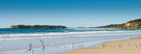 Chinamans Beach Evans Head - Melbourne Tourism 2