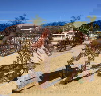 Gundersen Reserve - Melbourne Tourism