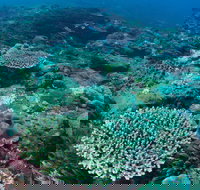 Hanging Rock Dive Site - Melbourne Tourism