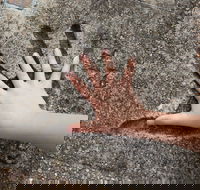 Hands of Fame Park - Melbourne Tourism