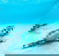 Jurien Bay - Melbourne Tourism