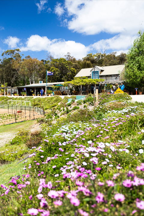 Kate's Berry Farm - Melbourne Tourism 0