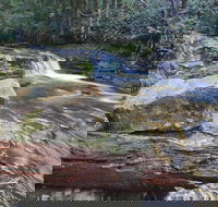 Liffey Falls Reserve - Melbourne Tourism