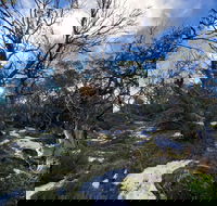 Mount Torbreck Summit Walk - Melbourne Tourism