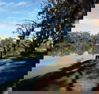 Murray River National Park - Katarapko - Melbourne Tourism
