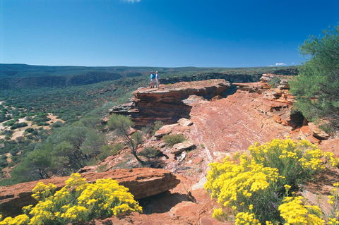 Northern Explorer Wildflower Trail - Melbourne Tourism 1