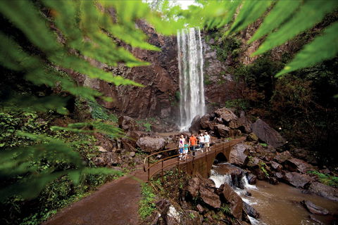 Queen Mary Falls Circuit, Main Range National Park - Melbourne Tourism 0