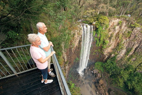 Queen Mary Falls Circuit, Main Range National Park - Melbourne Tourism 1