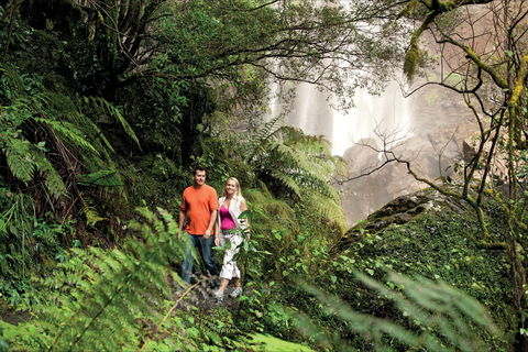 Queen Mary Falls Circuit, Main Range National Park - Melbourne Tourism 2