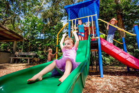 Reflections Boambee Creek Reserve - Melbourne Tourism 1