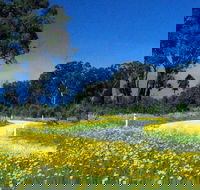 Shearer's Way - Melbourne Tourism
