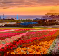 Table Cape - Melbourne Tourism