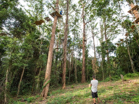 TreeTop Challenge - Sunshine Coast - Melbourne Tourism 1