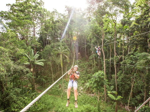 TreeTop Challenge - Sunshine Coast - Melbourne Tourism 2