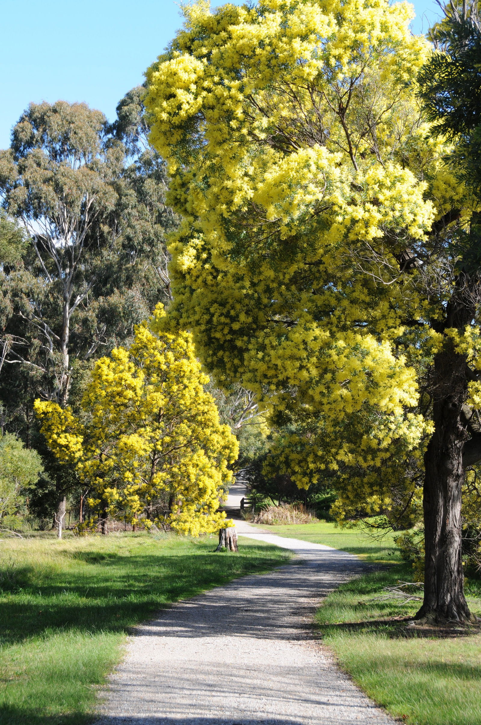 Kilsyth VIC Melbourne Tourism