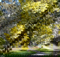 Wattle Park - Melbourne Tourism