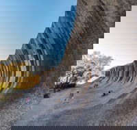 Wave Rock Wildflower Trail - Melbourne Tourism