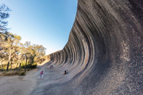 Wave Rock Wildflower Trail - Melbourne Tourism 0