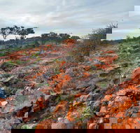 Western Ridge Walk - Melbourne Tourism