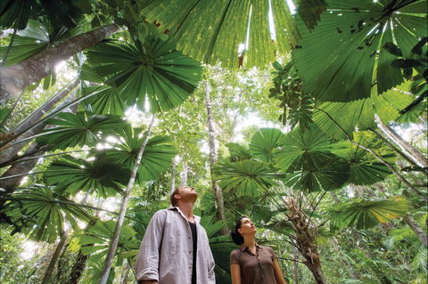 Wet Tropics Rainforest - Melbourne Tourism 0