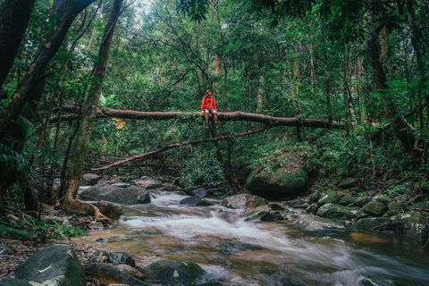 Wet Tropics Rainforest - Melbourne Tourism 1