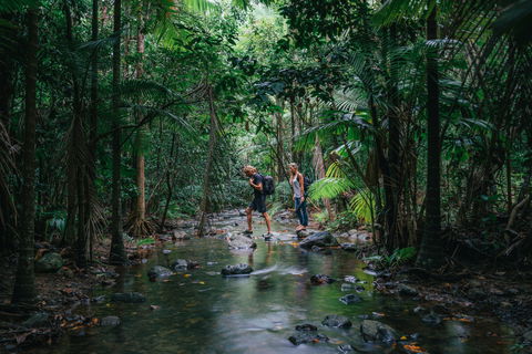 Wet Tropics Rainforest - Melbourne Tourism 2
