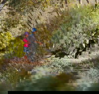 Australian Arid Lands Botanic Garden - Melbourne Tourism