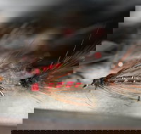 Australian Fly Fishing Museum - Melbourne Tourism