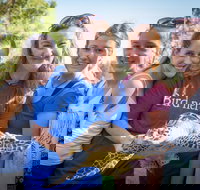 Australian Seabird Rescue - Melbourne Tourism