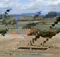 Boggy Creek Show - Melbourne Tourism