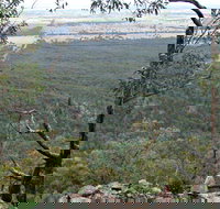 Burrabadine Walking Track - Melbourne Tourism