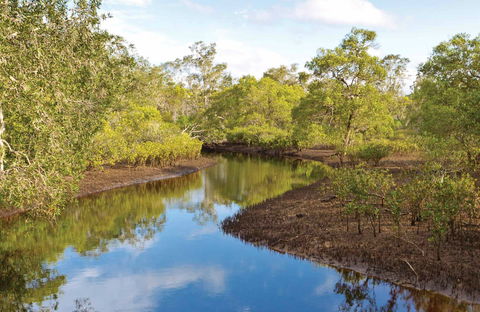 Canoe Evans River Paddle Route - Melbourne Tourism 0