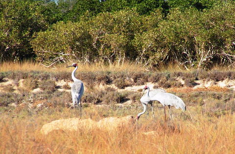 Cape Keraudren Nature Reserve - Melbourne Tourism 0