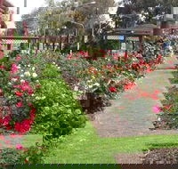 Cowra Rose Garden - Melbourne Tourism