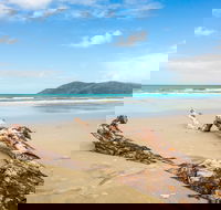Cow Bay - Melbourne Tourism