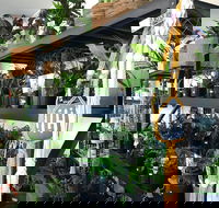 Fancy Plants - Melbourne Tourism