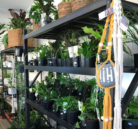 Fancy Plants - Melbourne Tourism 0