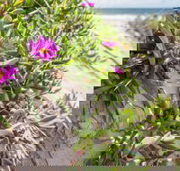 Fort Bribie - Melbourne Tourism